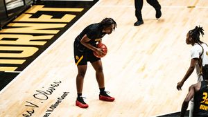 Image post by @uapblionswbb on Instagram