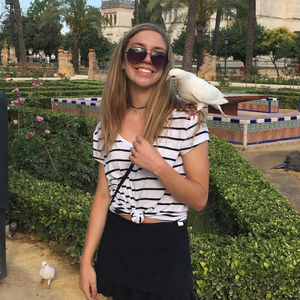 Image post by @charlottelatinschool on Instagram