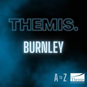 Image post by @themisburnley on Instagram