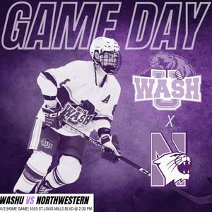Image post by @washuhockey on Instagram