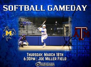 Image post by @msucowgirlsoftball on Instagram