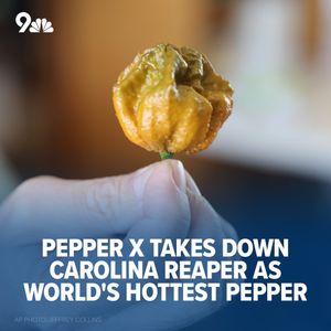 Image post by @9newsdenver on Instagram