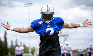 Image post by @mtlalouettes on Instagram