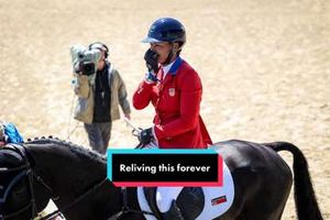 Image post by @usequestrian on TikTok