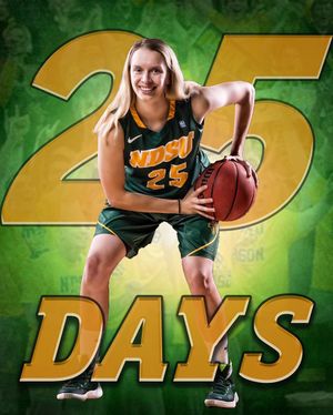 Image post by @ndsuwbb on Instagram