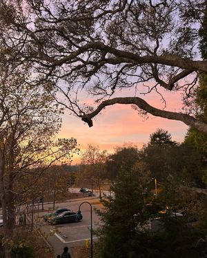 Image post by @ucscadmissions on Instagram