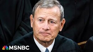 Video post by @msnbc on YouTube