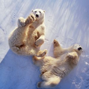 Image post by @discovery on Instagram