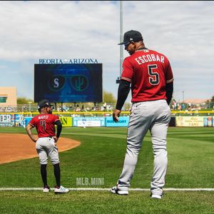 Image post by @mlb.mini on Instagram
