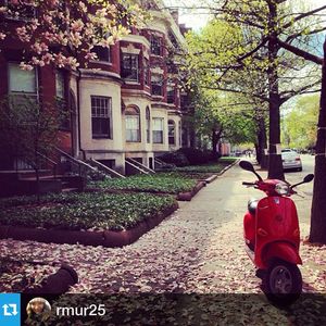Image post by @bostonu on Instagram