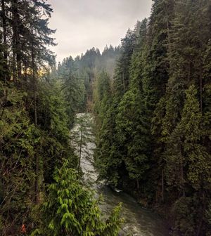 Image post by @jonathn_roberts on Instagram