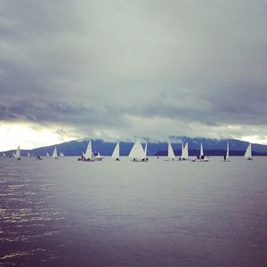 Image post by @yalesailing on Instagram