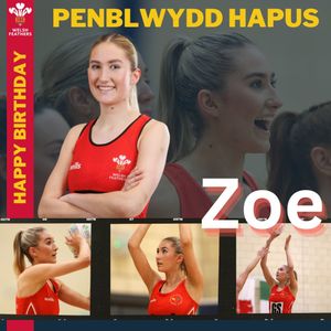Image post by @walesnetball_ on Instagram