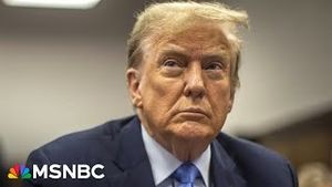 Video post by @msnbc on YouTube