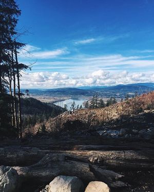 Image post by @tourismabbotsford on Instagram