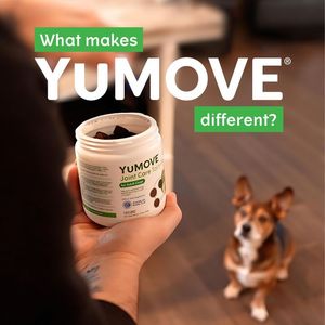 Image post by @YuMOVE.US on Facebook