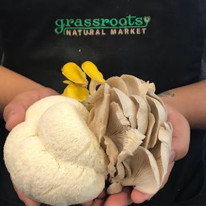 Image post by @grassroots5pts on Instagram