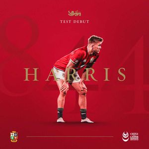Image post by @britishandirishlions on Instagram