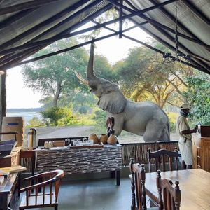 Image post by @chiawasafaris on Instagram