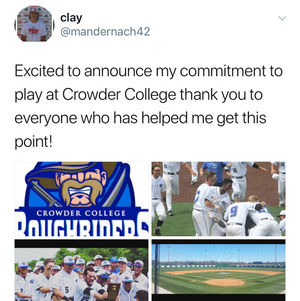 Image post by @rawlingstigers on Instagram