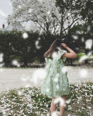 Image post by @themainemag on Instagram
