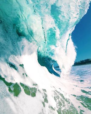 Image post by @slatertrout on Instagram