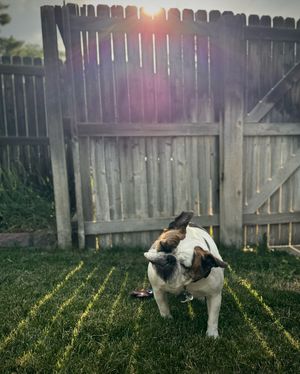 Image post by @parfittprojects on Instagram