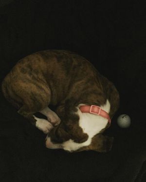 Image post by @brttoursauce on Instagram