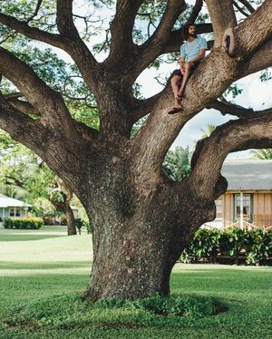 Image post by @olukai on Instagram