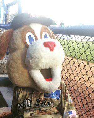 Image post by @salemredsox on Instagram