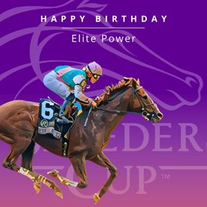Image post by @breederscup on Instagram
