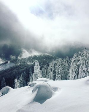 Image post by @lauraroze on Instagram