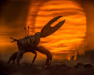 Image post by @natgeo on Instagram