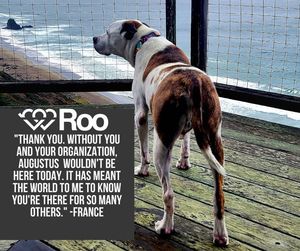 Image post by @LiveLikeRoo on Facebook