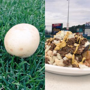Image post by @rocredwings on Instagram