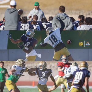 Image post by @thefightingirish on Instagram