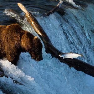 Image post by @nationalparkservice on Instagram
