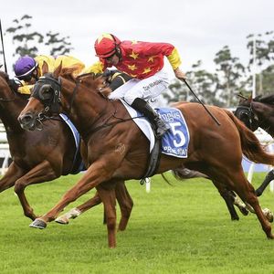 Image post by @australianturfclub on Instagram