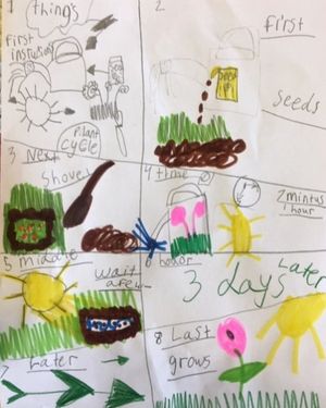 Image post by @kidsgardening on Instagram