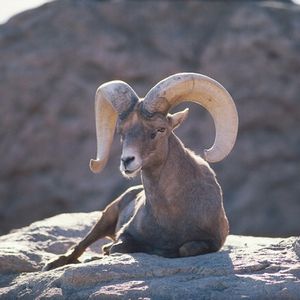 Image post by @discovery on Instagram