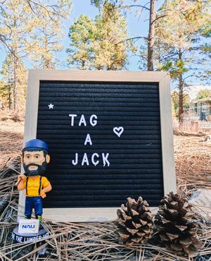 Image post by @nauflagstaff on Instagram