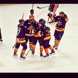 Image post by @swamprabbits on Instagram