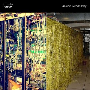 Image post by @cisco on Instagram