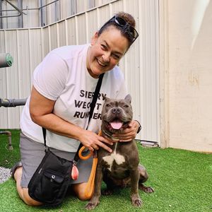Image post by @spokhumanesoc on Instagram