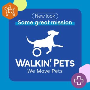 Image post by @walkinpets on Instagram