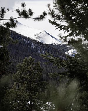 Image post by @lo_.productions on Instagram