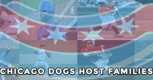 Image post by @thechicagodogs on Instagram