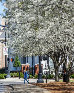 Image post by @univofalabama on Instagram