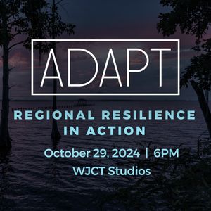 Image post by @wjctjax on Instagram