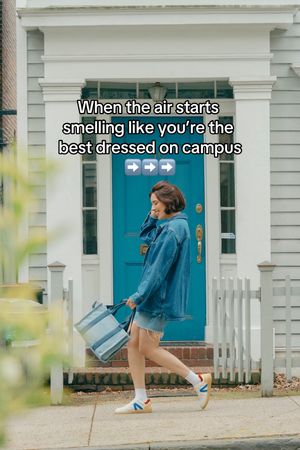Image post by @dsw on TikTok